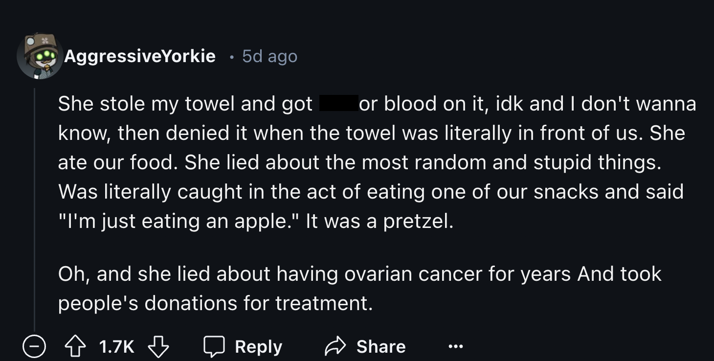 screenshot - AggressiveYorkie 5d ago She stole my towel and got or blood on it, idk and I don't wanna know, then denied it when the towel was literally in front of us. She ate our food. She lied about the most random and stupid things. Was literally caugh